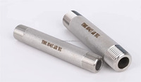 Raccord à double filetage mâle en acier inoxydable 316L résistant à la corrosion 304/316L pour l'industrie pétrochimique