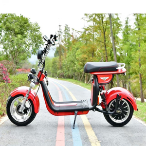 Scooter électrique Citycoco Loyal 2000W 60V homologué CEE, scooters Citycoco tendance / Scooter électrique Citycoco - Product Image 6