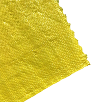 Sacos de Polipropileno Resistentes a los Rayos UV de Alta Calidad en Varios Colores para Envasado de Maíz, Harina y Frijoles, de Fábrica China