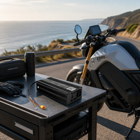Chargeur de batterie au plomb-acide haute performance 600W avec 7 types de connecteurs en option