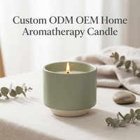Bougies parfumées en céramique pour huiles essentielles, usage durable, OEM&ODM, décorations colorées pour la maison, idéales pour les hôtels, salles de bain et bureaux.