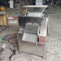 Fruit- en groente-sapcentrifuge met dubbele roller, hoge productiviteit, ontpitten, kloppen, schillen, sap maken, apparatuur voor fruitverwerking, fruitverwerkingsinstallatie