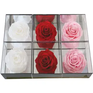 Commercio all'ingrosso conservato singola rosa eterna in scatola acrilica per sempre cuore gigante rose rosse disposizione specchio per regalo di san valentino