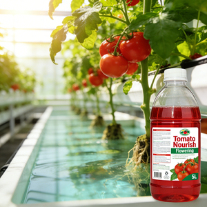 <span class=keywords><strong>Engrais</strong></span> Booster de <span class=keywords><strong>Floraison</strong></span> pour Tomates à Haute Efficacité - Favorise la <span class=keywords><strong>Floraison</strong></span> Précoce et Prévient l'Abscission des Fleurs - Product Image 2