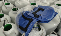 Thermos à azote liquide Cryocan, réservoir cryogénique pour semence, pour l'insémination artificielle en ferme