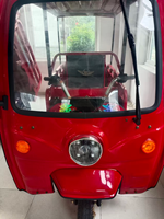 Tricycle électrique ouvert personnalisé >1000W 60V, étanche, passagers-marchandises, camionnette à 3 roues, 200-300 kg