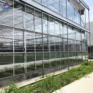 Высокое качество, коммерческая низкая стоимость, закаленное стекло, тоннель, томатная Большая теплица для сельского хозяйства - Product Image 6