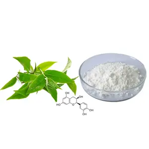 Best Price 50% Epicatechin-powder Extract Food Supplement Epicatechin Powder