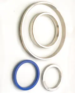 ASME B16.20 API-6A Forging Metallic RX R BX Ring Joint Gasket With PTFE Coating