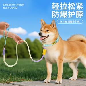 ปลอกคอและสายจูงแบบ 2-in-1 รุ่นใหม่ สาย P-rod แบบหนาและกว้างขึ้นเพื่อความสะดวกสบาย ไม่รัดมือหรือคอของคุณ - Product Image 1