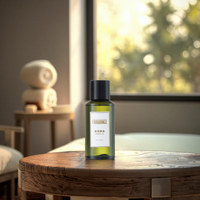 Parfum de luxe maison bureau hôtel désodorisant huile essentielle naturelle aromathérapie bouteille en plastique longue durée