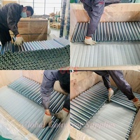 Rodillo transportador personalizado de acero al carbono/acero inoxidable rodillo de gravedad galvanizado/tratamiento superficial de zinc
