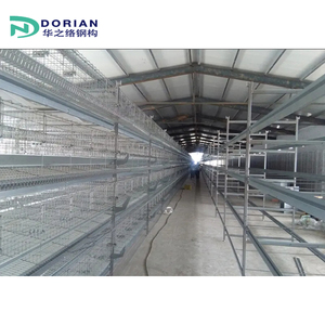 Tùy Chỉnh Thiết Kế Kết Cấu Thép Lớp Gà Gia Cầm Nhà Trang Trại Nhà Kho Cho 1000 Lớp Gà - Product Image 3