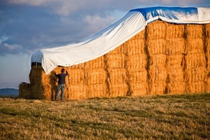 Vente en gros d'usine personnalisé à bas <span class=keywords><strong>prix</strong></span> 28ftx48ft bâches de stockage de foin à vendre et fabricant de couverture de balle de foin - Product Image 6