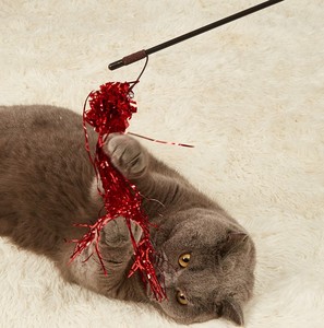 <span class=keywords><strong>Mylar</strong></span> ball-varita para gato, caña de pescar, teaser para gato - Product Image 4