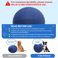 Ballon de dressage interactif pour chien en PVC Oxford de 65 cm, résistant aux morsures et aux éclats, étanche, idéal pour le yoga – Fabrication OEM