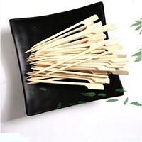 Brochettes jetables en bambou Teppo de haute qualité, écologiques et biodégradables, pour barbecue, de qualité alimentaire, pics plats