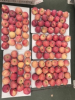 Groothandel verse Fuji appels, zoet, knapperig, vers fruit, premium kwaliteit, boerderijvers, bulk export leverancier