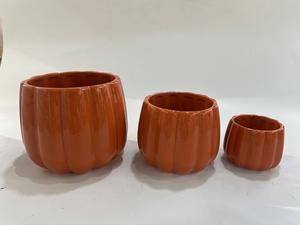 Maceta de cerámica para flores de calabaza de Halloween, Mini macetas <span class=keywords><strong>suculentas</strong></span> de Cactus de calabaza, macetas decorativas <span class=keywords><strong>suculentas</strong></span> - Product Image 3