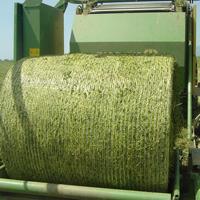 Vente en gros de grosses presses à ensilage rondes pellicule de filet biodégradable plastique PE-HD paille de foin d'occasion blanche enveloppe de filet de balle de 67 pouces