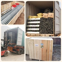1000 Cages pour poules pondeuses, type batterie, pour bâtiment avicole, en métal galvanisé, durable, anti-corrosion, conception agricole, dimensions