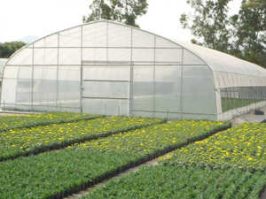 Invernadero de túnel de película PO de alta calidad para verduras/frutas/champiñones - Product Image 2