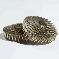 Offre Spéciale 3/4 "-1-3/4" EG HDG Coil Toiture Clous de haute qualité au meilleur prix