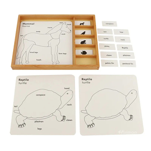 Montessori การเรียนการสอน<span class=keywords><strong>ภาษา</strong></span>ของเด็กอนุบาล Montessori ของเล่นไม้ Montessori แผ่นสัตว์จิ๊กซอว์สามส่วน - Product Image 4