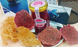 Découvrez Fruit Sea Moss Gel Fruit Saveur The Ocean's Super Produit pour et Immunity Boost - + 84 705 872 141 ( Lina) - Product Image 2