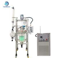 Reactor de Vidrio Encamisado Automático Personalizado Yangmai de 10L con Motor para Síntesis Orgánica e Investigación de Laboratorio