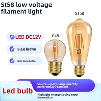 Ampoule LED Edison Source lumineuse basse tension 12V ST58 Tea Color G45 Ampoule rétro décorative AC Power Supply Glass E27 for Wholesale