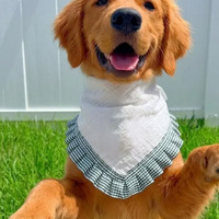 Bandana brodé personnalisé en coton pour chien, chiot et chat, avec attache réglable, foulard triangulaire pour animaux de compagnie, OEM sur mesure