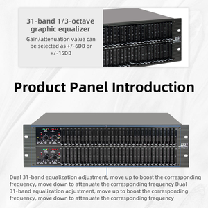 Professional 2231 Graphic Equalizer &amp; Limiter with Type III <strong>NR</strong> | Pro <strong>Audio</strong> Signal Processor - Product Image 4