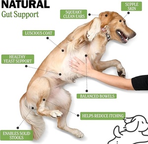 Suplemento masticable probiótico para perros de etiqueta privada que mejora la salud intestinal y las <span class=keywords><strong>heces</strong></span> sólidas reducen la picazón con prebiótico - Product Image 2