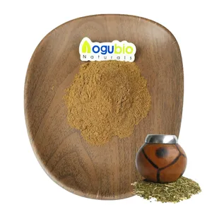 Großhandel Bulk Yerba Mate Extrakt Natürliches Paraguay Tee Pflanze Extrakt Pulver Hochwertiger Yerba Mate Extrakt
