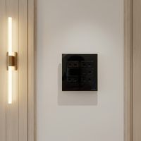 Prise US 120 mm x 120 mm, cadre en verre et métal, prise 16A