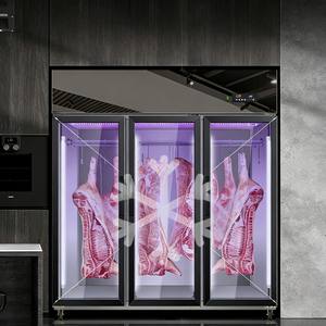 Amplia Gama de Usos: Congeladores, Refrigeradores y Refrigeradores Comerciales para la Industria Hotelera - Product Image 4