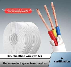 Tiantan National Standard Basse Tension Pur Cuivre ZC-RVV Doux Câble D'alimentation Ignifuge 0.5 ~ 6 Carré <span class=keywords><strong>2</strong></span>/<span class=keywords><strong>3</strong></span>/4 Noyau PVC Blanc - Product Image 5