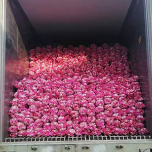 Fresco Branco Roxo Alho Cebolas Atacadista na <span class=keywords><strong>China</strong></span>/Alta Qualidade 2025 Nova Colheita <span class=keywords><strong>China</strong></span> Alho - Product Image 5