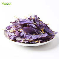 Pasokan pabrik bunga teratai biru kering alami kelopak bunga asli nol aditif teh bunga Herbal Nymphaea Caerulea