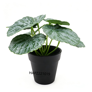 Follaje Artificial Colgante Realista en <span class=keywords><strong>Maceta</strong></span> Negra, Planta Artificial <span class=keywords><strong>de</strong></span> <span class=keywords><strong>Oreja</strong></span> <span class=keywords><strong>de</strong></span> <span class=keywords><strong>Elefante</strong></span> en <span class=keywords><strong>Maceta</strong></span> <span class=keywords><strong>para</strong></span> Decoración Boho del Hogar - Product Image 3