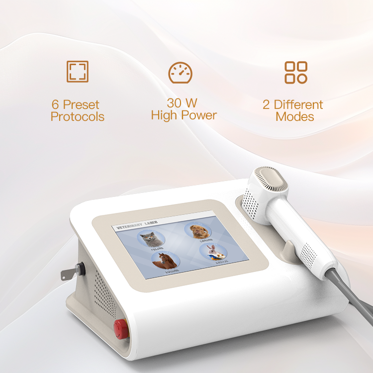 Horse Laser Pain Relief Animal Pets