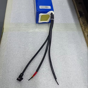 Paquete de Baterías de Litio de 36V 10Ah 12Ah para Bicicleta Eléctrica, Scooter Eléctrico con BMS, Batería Recargable de Iones de Litio Personalizable - Product Image 1