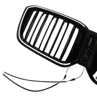 Grille LED éclairée à double ligne pour BMW X3 G01, applicable 2022-2024