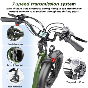 Tricycle Électrique avec Batterie 20Ah 48V 200-250W, Moteur à Engrenages, Freins à Disque Avant/Arrière, Autonomie Maximale - Product Image 6