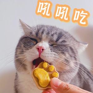 Dondurularak kurutulmuş dört renkli kedi pençeleri ve dondurularak kurutulmuş ürün ve köpek maması ve köpek davranır ve köpek aperatifler ve köpekler için evcil hayvan maması - Product Image 6