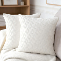 Housse de coussin en velours de couleur personnalisée, écologique, lavable, pour canapé de salon