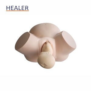 Simulador de entrenamiento de parto femenino de <span class=keywords><strong>ginecología</strong></span>, modelo de partería para trabajo anormal, maniquí de ciencia médica para escuelas - Product Image 3