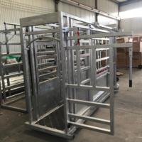 Équipement complet pour élevage : Étrier à bétail robuste en acier galvanisé avec goulotte de compression, panneaux de pesée et clôture grillagée.