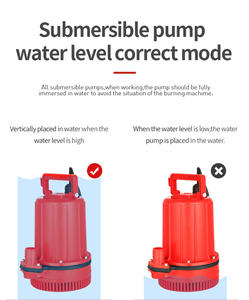 Pompe submersible DC 1 pouce de sortie 12V 24V 36V 48V 60V 72V, haute pression, grand <span class=keywords><strong>d</strong></span>ébit, alimentée par batterie solaire - Product Image 6